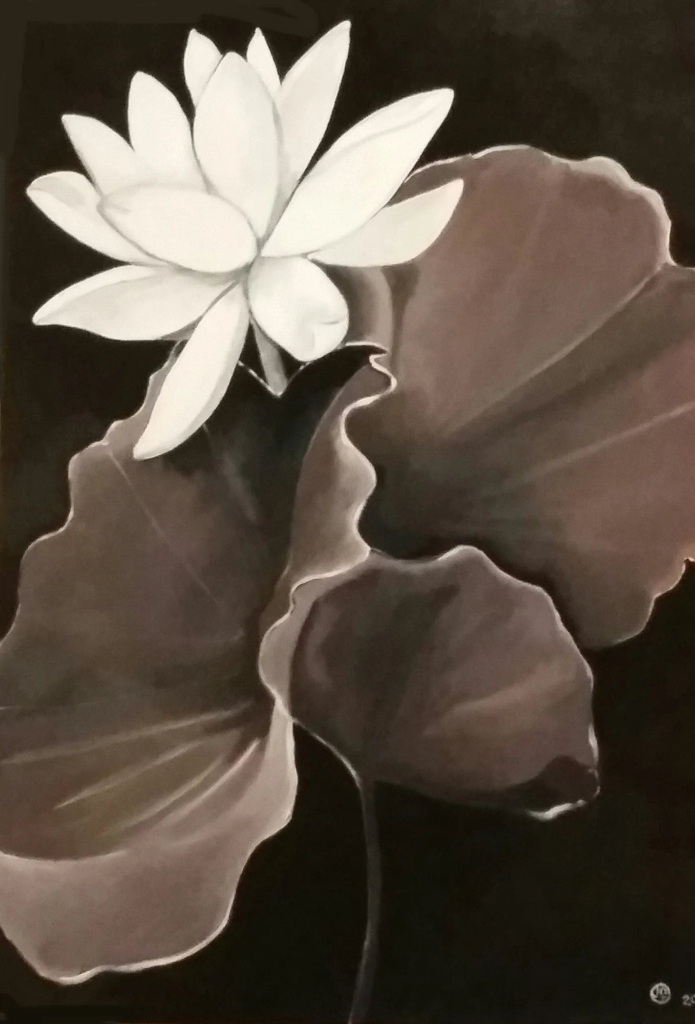 Tonal Lotus by Jo Odessa