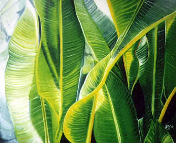 Banana Leaves by Jo Odessa