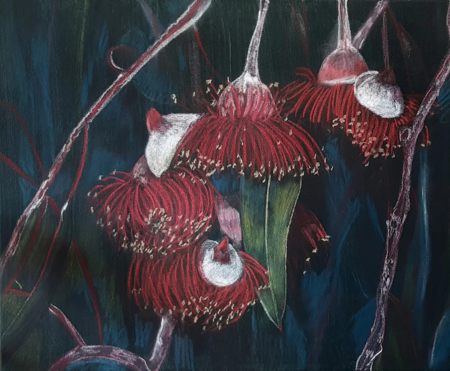 Gumnut by Jo Odessa