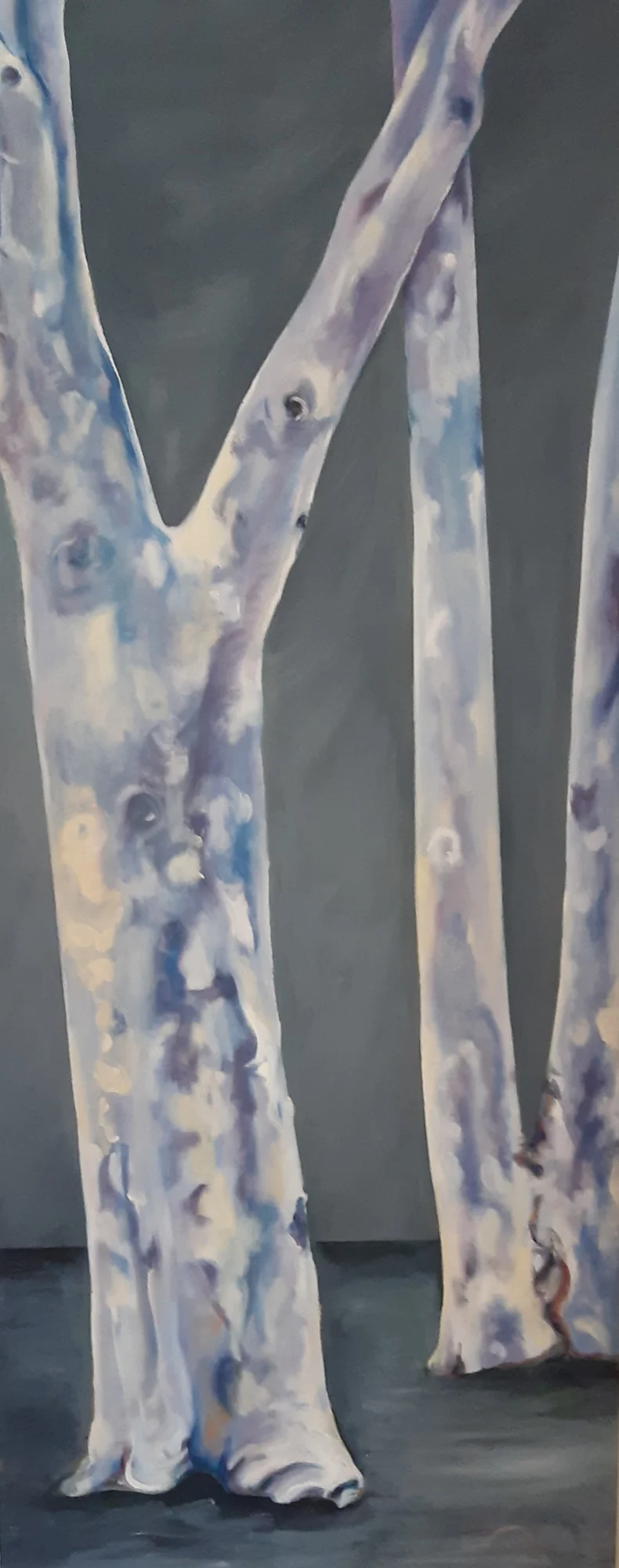 Blue Gums by Jo Odessa