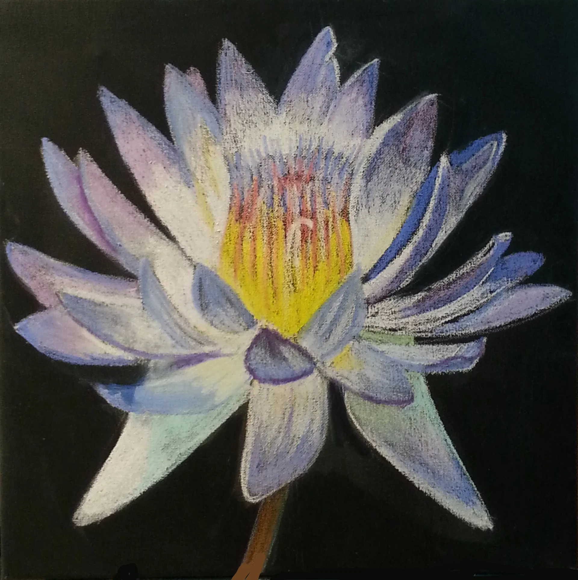 Mixed Media Lotus by Jo Odessa