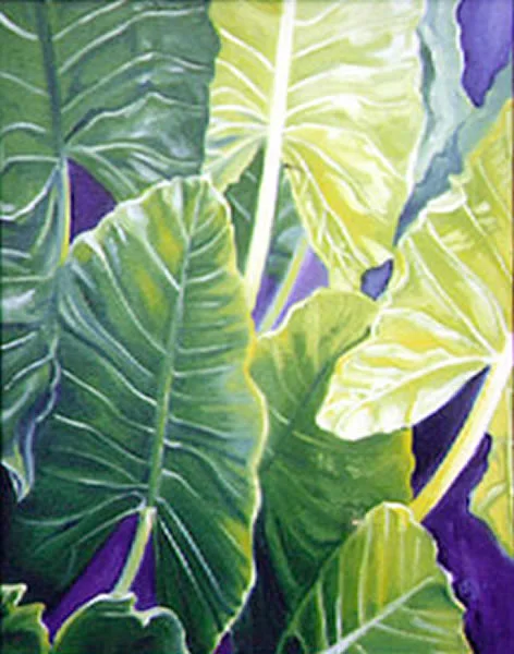 Elephant Ears by Jo Odessa