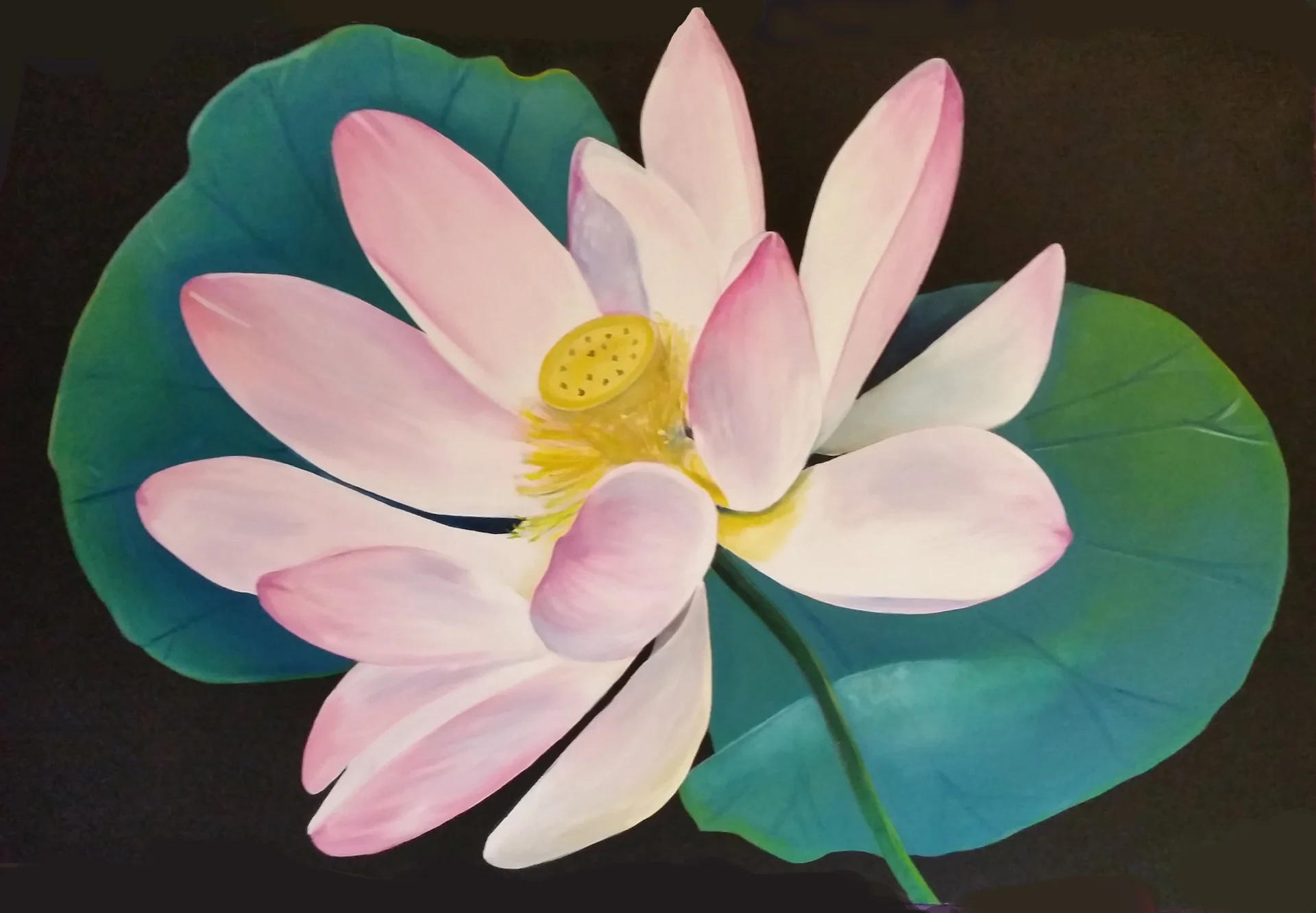 Enlarged Lotus by Jo Odessa