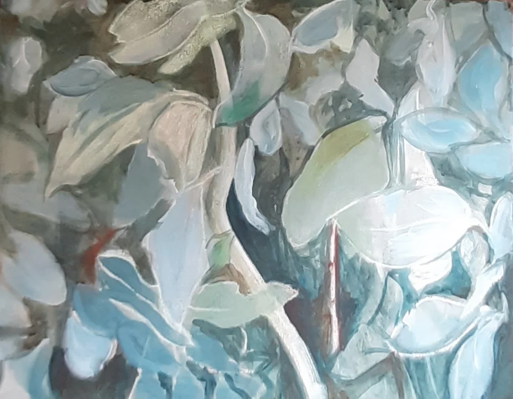 Blue Gum Study by Jo Odessa